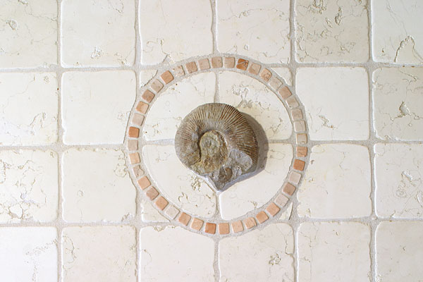 Versteinerung Schnecke