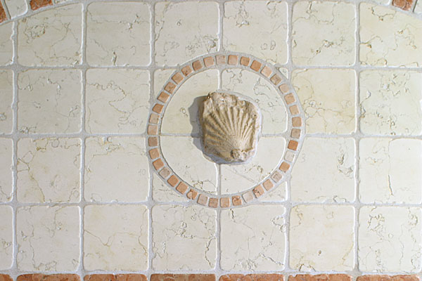 Versteinerung Muschel